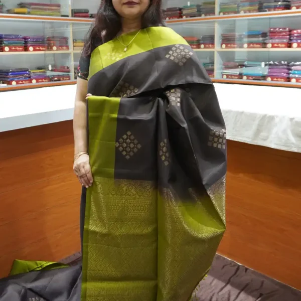 PRSK217 – Dark Brown & Light Green – Half Pure Kanchipuram Silk Saree