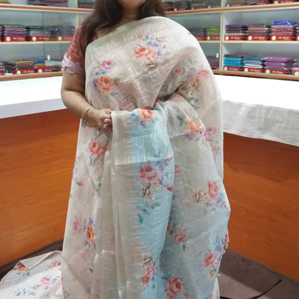 OFF118 – Beige – Organza Saree